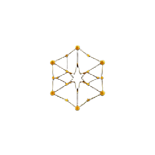 NETWORK